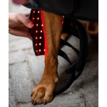 Horseware LED Red Light Therapy Pet Leg Wraps (PAIR) Horseware LED Red Light Therapy Pet Leg Wraps (PAIR)